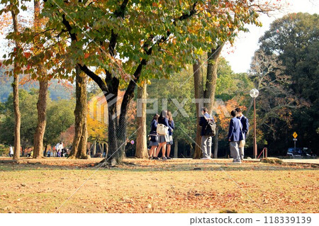 奈良公園秋葉和修學旅行的學生 奈良公園秋葉和修學旅行的學生 118339139