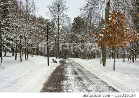 Winter landscape. Deserted alley in a city park. Alley in the city park winter cloudy day Winter landscape. Deserted alley in a city park. Alley in the city park winter cloudy day 118339187