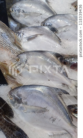Silver pomfret on ice in supermarket Silver pomfret on ice in supermarket 118339436