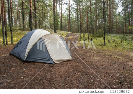A camping tent is pitched in a serene forest, surrounded by tall trees and soft ground cover, inviting outdoor adventure. 118339682