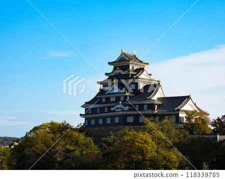 Okayama Castle tower in the evening 118339785