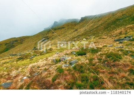 Misty mountainous landscape with golden grass and rocky outcrops in the early morning mist. Misty mountainous landscape with golden grass and rocky outcrops in the early morning mist. 118340174