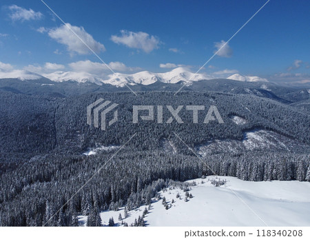 Aerial view of breathtaking winter landscape with vast, snow-covered forest stretching towards the horizon. Majestic snow-capped mountains rise in distance under clear blue sky. Carpathians, Ukraine. 118340208