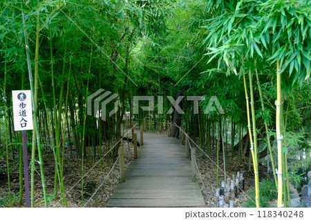 Bamboo Forest Path: A relaxing Japanese space 118340248