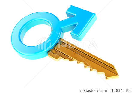 Male key, 3D rendering Male key, 3D rendering 118341193