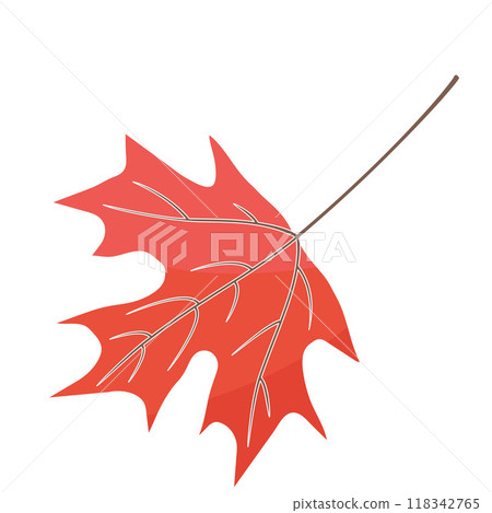 red maple leaf color vector illustration 118342765