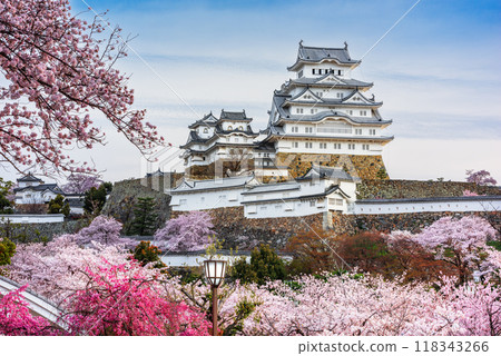 Himeji, Japan at Himeji Castle in Spring Season 118343266