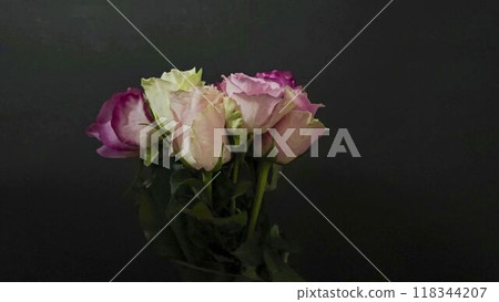 Bouquet of colourful roses rotating on black background. Beautiful bunch of multicolored roses on dark background. Concept of wedding, love, romance, Valentine's day. 118344207