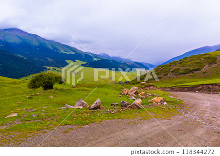 dirt road in the mountain hills at rainy summer day with tree at rainy summer day 118344272