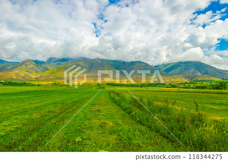 Green agricultural field with mountain range under a white clouds sky 118344275