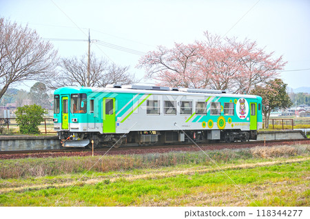 Hojo Railway Harima Yokota Hojo Railway Flower 2000-3 118344277