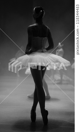 Ballerinas in white tutus, view from backstage. Black and white photos Ballerinas in white tutus, view from backstage. Black and white photos 118344483
