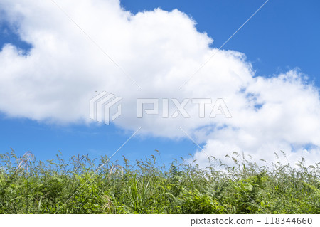 Grassland and summer sky, Hiruzen Highlands 118344660