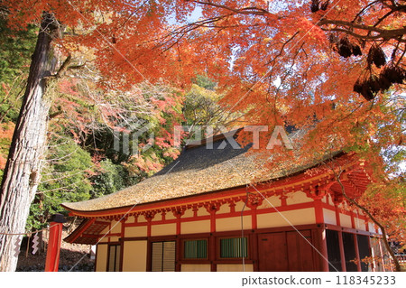 Tanzan Shrine, a famous spot for cherry blossoms and autumn leaves in Nara Tanzan Shrine, a famous spot for cherry blossoms and autumn leaves in Nara 118345233