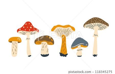 mushroom, vector, fly agaric 118345275
