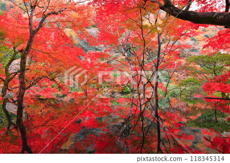 [京都府]嵐山遊採亭的水鏡與紅葉 118345314