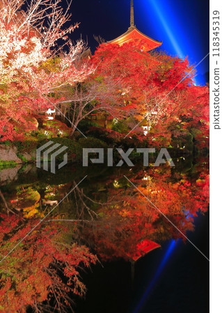 [京都府]對稱的清水寺三層寶塔和紅葉點亮 118345319