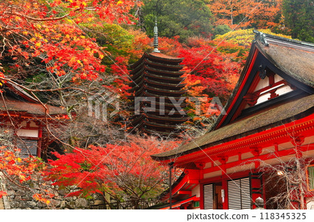 [奈良縣]談山神社的秋葉（十三層寶塔和神社） 118345325
