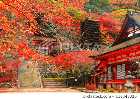 [奈良縣]談山神社的秋葉（十三層寶塔和神社） 118345326