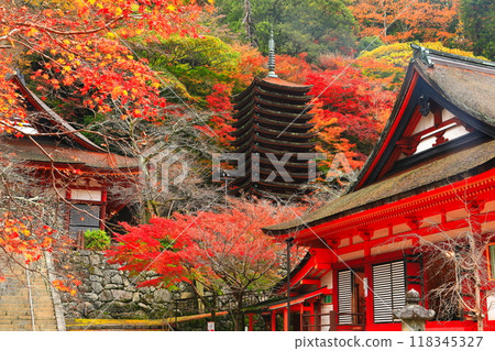 [Nara Prefecture] Autumn leaves of Tanzan Shrine (thirteen-storied pagoda and shrine) 118345327