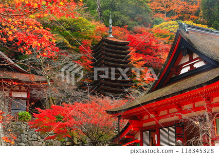 [奈良縣]談山神社的秋葉（十三層寶塔和神社） 118345328