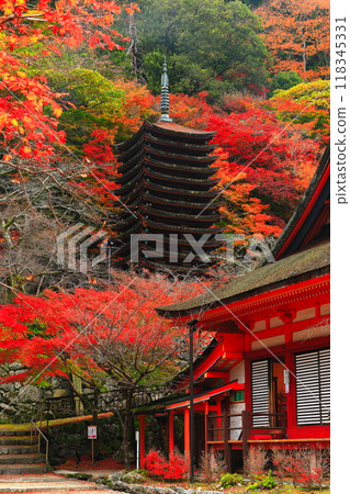 [Nara Prefecture] Autumn leaves of Tanzan Shrine (thirteen-storied pagoda and shrine) 118345331