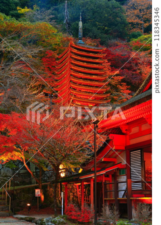 [Nara Prefecture] Autumn leaves light up at Tanzan Shrine (thirteen-storied pagoda) 118345346