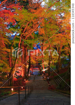 [Nara Prefecture] Autumn leaves light up at Tanzan Shrine 118345348