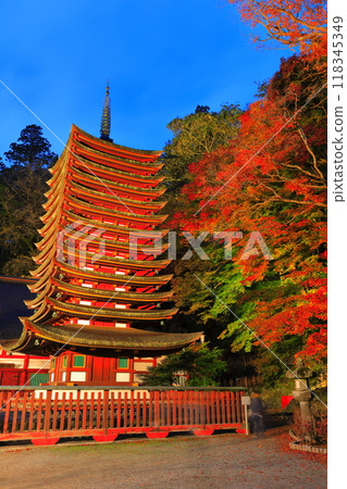 [Nara Prefecture] Autumn leaves light up at Tanzan Shrine (thirteen-storied pagoda) 118345349