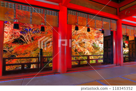 [Nara Prefecture] Illuminated autumn leaves seen from the front shrine of Tanzan Shrine 118345352