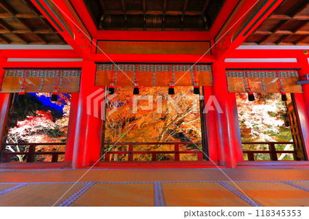 [Nara Prefecture] Illuminated autumn leaves seen from the front shrine of Tanzan Shrine 118345353