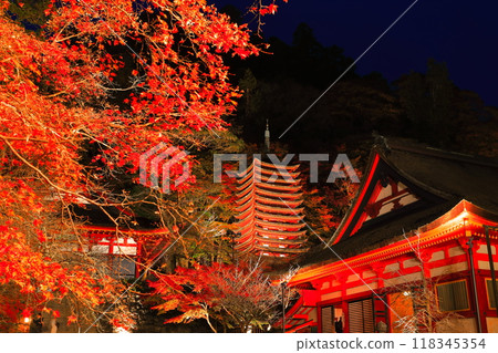 [Nara Prefecture] Autumn leaves light up at Tanzan Shrine (thirteen-storied pagoda and shrine worship place) 118345354