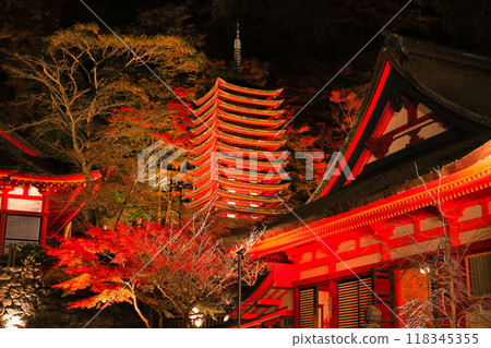[Nara Prefecture] Autumn leaves light up at Tanzan Shrine (thirteen-storied pagoda and shrine worship place) 118345355
