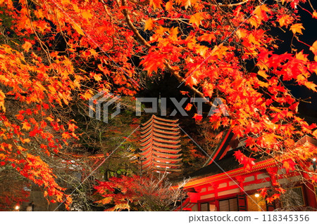 [Nara Prefecture] Autumn leaves light up at Tanzan Shrine (thirteen-storied pagoda and shrine worship place) 118345356