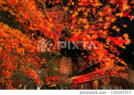 [奈良縣]談山神社（十三層寶塔和神社崇拜場所）的秋葉點亮 118345357