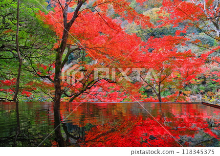 [Kyoto Prefecture] Water Mirror and Autumn Leaves at Arashiyama Yusaitei 118345375