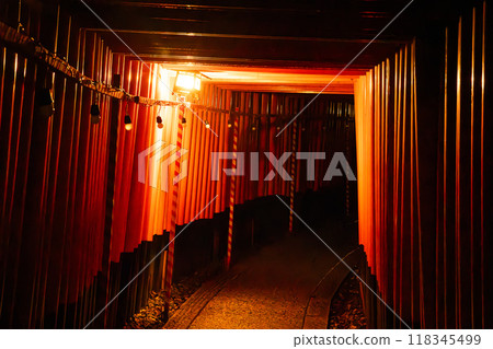 Fushimi Inari Taisha by night, in Kyoto, Japan Fushimi Inari Taisha by night, in Kyoto, Japan 118345499