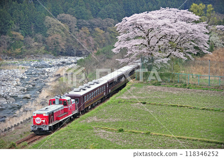 渡良瀨溪谷鐵道中小學校 - 神戶 DE10-1678+Wa99 花桃 渡良瀨溪谷鐵道中小學校 - 神戶 DE10-1678+Wa99 花桃 118346252