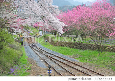 Watarase Valley Railway Kobe Watarase Valley Railway Kobe 118346253
