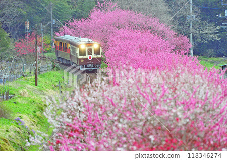 Watarase Valley Railway Sawaniri-Kobe WKT-501+WKT-551 Trolley Washii Watarase Valley Railway Sawaniri-Kobe WKT-501+WKT-551 Trolley Washii 118346274