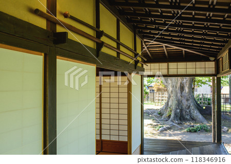 Samurai residence: spears hanging on dome wall and old Zelkova tree, Joshitei, Akita city Samurai residence: spears hanging on dome wall and old Zelkova tree, Joshitei, Akita city 118346916