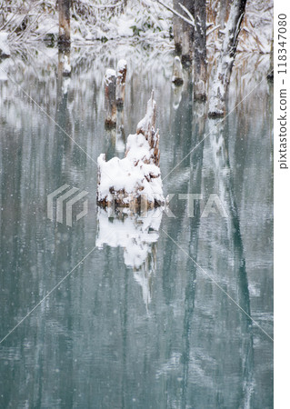 Blue Pond with Snow in Biei Town Blue Pond with Snow in Biei Town 118347080
