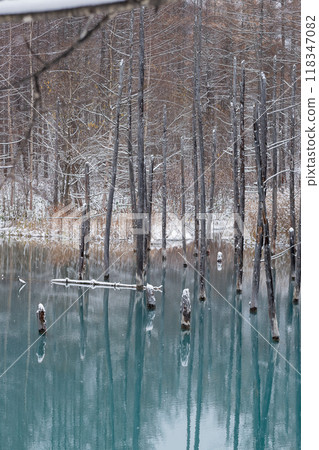 Blue Pond with Snow in Biei Town Blue Pond with Snow in Biei Town 118347082