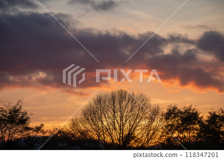 美麗的秋天傍晚的天空和冬天的樹林剪影 118347201
