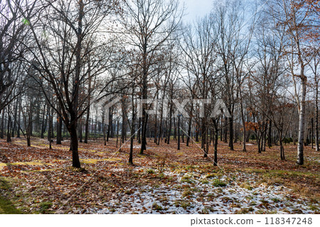 early winter park with snow early winter park with snow 118347248