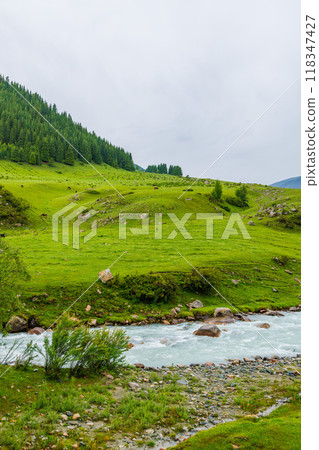rainy day at green mountain slope pasture with river and cows 118347427