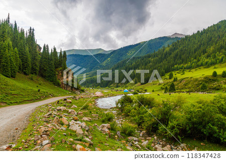 green grass and forest covered mountain slopes at rainy summer day green grass and forest covered mountain slopes at rainy summer day 118347428