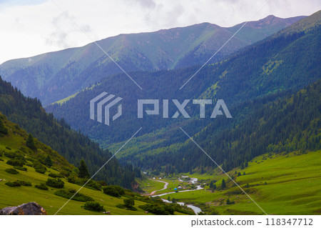 green grass and forest covered mountain slopes at rainy summer day green grass and forest covered mountain slopes at rainy summer day 118347712