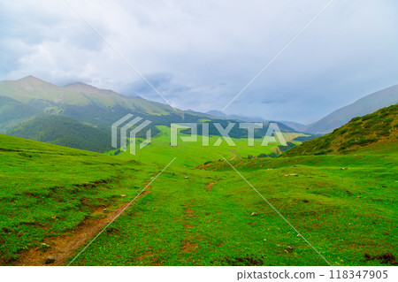 green grass covered mountains at rainy summer day 118347905