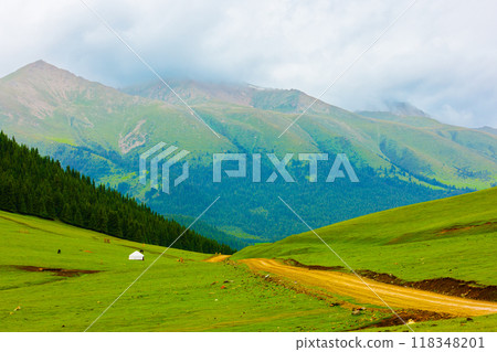 dirt road in Kyrgyz mountain hills at rainy summer day 118348201